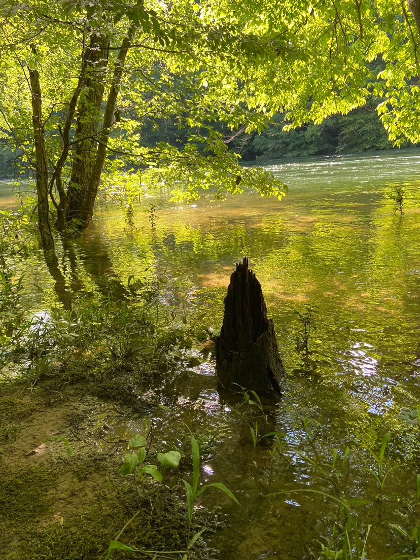 The sun beats down on Shady Creek River.